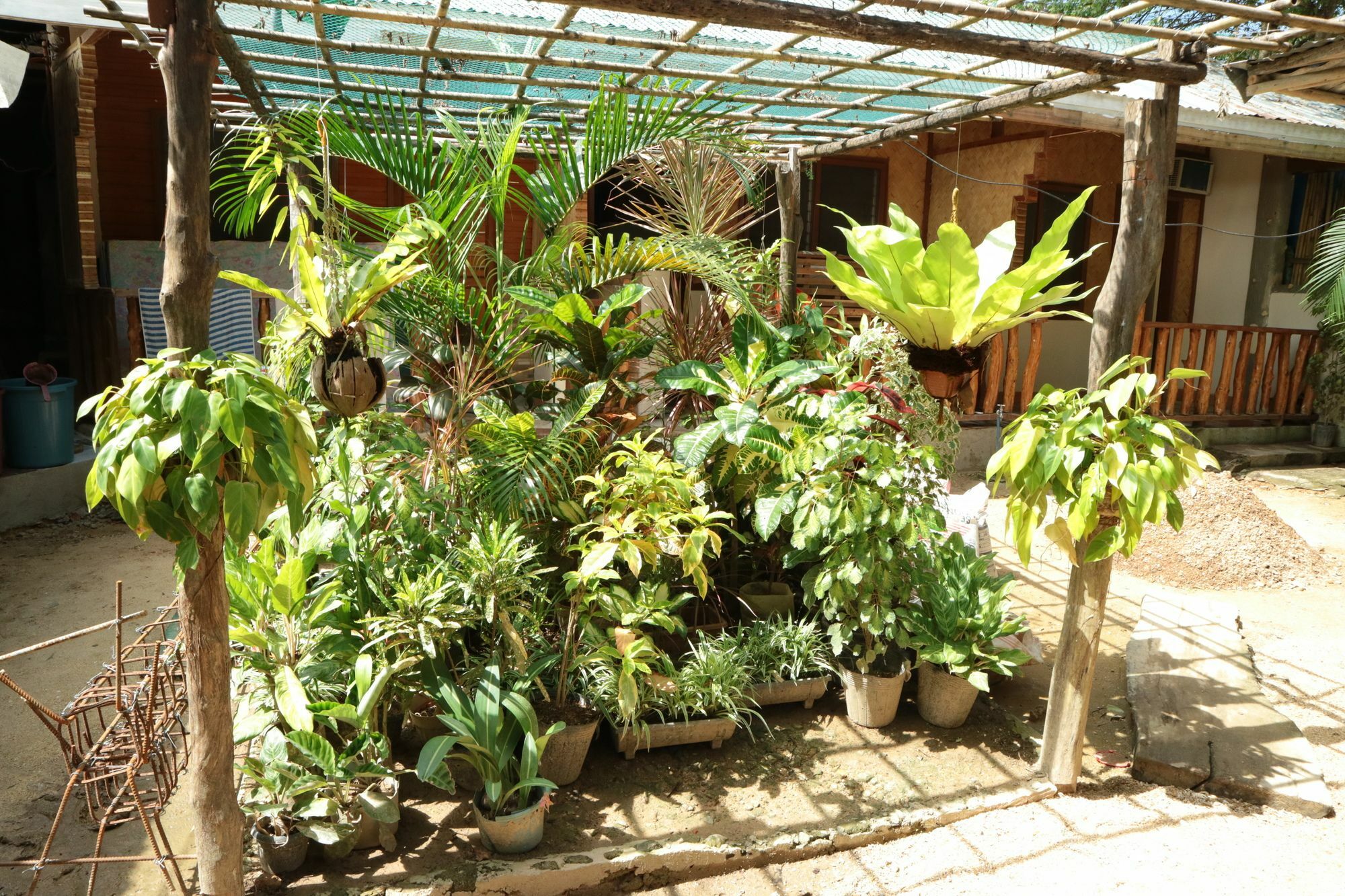 Sannie Pension El Nido Esterno foto